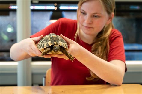 opleidingen met dieren mbo